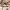 https://res.cloudinary.com/billionhands/image/upload/v1780810898/items/rqi9rhpjjlsaxchiijpb.jpg-1cover