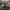 https://res.cloudinary.com/billionhands/image/upload/v1780810911/items/g19jcqalcnbqbm8eovvu.jpg-2cover