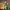 https://res.cloudinary.com/billionhands/image/upload/v1780810915/items/x89uytn1syoazn8rdeek.jpg-0cover