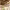 https://res.cloudinary.com/billionhands/image/upload/v1780810943/items/crgn8lyxvasvwptfqors.avif-3cover
