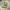 https://res.cloudinary.com/billionhands/image/upload/v1780810950/items/fqtcue49ci6ugfgpzub1.webp-0cover