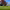 https://res.cloudinary.com/billionhands/image/upload/v1780811618/items/aabzfsqpl9oifwjnk77h.jpg-3cover