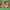 https://res.cloudinary.com/billionhands/image/upload/v1780811619/items/bffb7ajfm3hrtl45ajqu.jpg-3cover