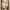 https://res.cloudinary.com/billionhands/image/upload/v1780811663/items/jcdvkdb8cx6vudsddknq.jpg-1cover