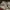 https://res.cloudinary.com/billionhands/image/upload/v1780811668/items/brc9rdaticbossivls1t.webp-3cover
