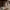 https://res.cloudinary.com/billionhands/image/upload/v1780811818/items/s91vy8cgnl3ps2xglgas.jpg-3cover