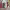 https://res.cloudinary.com/billionhands/image/upload/v1780811840/items/fparneneqtkcii88slv6.webp-3cover