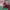 https://res.cloudinary.com/billionhands/image/upload/v1780813180/items/jt51jqyk6psfigepxcrf.png-0cover