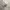 https://res.cloudinary.com/billionhands/image/upload/v1780815052/items/ncobgepjfudusaebqn5x.webp-3cover