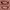 https://res.cloudinary.com/billionhands/image/upload/v1780817107/items/al8lptsoubusphp3ggh3.png-2cover