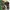 https://res.cloudinary.com/billionhands/image/upload/v1780818433/items/s0lbggniinvdczcf324q.png-2cover