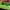 https://res.cloudinary.com/billionhands/image/upload/v1780818480/items/mcpgjhi4hofzwkdeda4k.webp-0cover