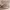 https://res.cloudinary.com/billionhands/image/upload/v1780818926/items/drrdut5hw8ohrziob1jv.webp-3cover
