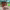 https://res.cloudinary.com/billionhands/image/upload/v1780819016/items/u4dscglwzhq6hnbn9rpx.webp-1cover