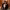 https://res.cloudinary.com/billionhands/image/upload/v1780819668/items/jjnvujeyynaocbvl4uoj.webp-2cover
