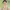 https://res.cloudinary.com/billionhands/image/upload/v1780820926/items/bkiyscjwr3y5oezwciq1.webp-2cover