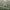 https://res.cloudinary.com/billionhands/image/upload/v1780820976/items/vpf9tik9v63q1jeejsbe.webp-2cover
