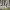 https://res.cloudinary.com/billionhands/image/upload/v1780820977/items/u7cornnu6yyg2wxnaoli.webp-3cover