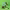 https://res.cloudinary.com/billionhands/image/upload/v1780822099/items/f7xcdo1egjon6nhjntmc.webp-2cover