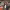 https://res.cloudinary.com/billionhands/image/upload/v1780825421/items/xehncwzbgbdcikg0wtl0.jpg-0cover