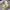 https://res.cloudinary.com/billionhands/image/upload/v1780825499/items/nqg5l9mha6rhftxpjujk.jpg-3cover