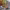 https://res.cloudinary.com/billionhands/image/upload/v1780825500/items/k9okhwkbxx556ccxqzet.webp-2cover