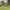https://res.cloudinary.com/billionhands/image/upload/v1780825867/items/osthd9cbmfyw2lqcoqwx.jpg-3cover