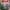 https://res.cloudinary.com/billionhands/image/upload/v1780826608/items/fgo4ttkhx4hzzjk0e33g.png-3cover