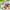 https://res.cloudinary.com/billionhands/image/upload/v1780826616/items/vpfk38bamzu4rytcpzrq.jpg-3cover