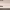 https://res.cloudinary.com/billionhands/image/upload/v1780827748/items/abt5lnszqsnjfne1gaf8.webp-0cover