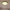 https://res.cloudinary.com/billionhands/image/upload/v1780827752/items/ymfdyoyvymsysjkopcr7.webp-3cover
