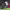 https://res.cloudinary.com/billionhands/image/upload/v1780829675/items/lw5axpeppypwzxger0v0.webp-1cover