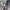 https://res.cloudinary.com/billionhands/image/upload/v1780829711/items/bbpq7t2gtkhg9kte7tw4.webp-3cover