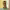 https://res.cloudinary.com/billionhands/image/upload/v1780829717/items/txlthlz7htwxipd3phjd.jpg-0cover