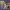 https://res.cloudinary.com/billionhands/image/upload/v1780832015/items/gxj0um14ubijg8rziere.jpg-3cover