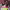 https://res.cloudinary.com/billionhands/image/upload/v1780832024/items/bjzriivxtyqkfvsdmwgq.webp-3cover