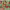 https://res.cloudinary.com/billionhands/image/upload/v1780832372/items/zew82fgihsx8zzptu51x.jpg-3cover