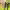 https://res.cloudinary.com/billionhands/image/upload/v1780832762/items/dlx2r57ae7ne1iewkbjz.jpg-3cover