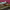 https://res.cloudinary.com/billionhands/image/upload/v1780832992/items/rl2lp9eucnitth5kmcqy.webp-2cover