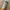 https://res.cloudinary.com/billionhands/image/upload/v1780833804/items/fhrd5wwavfmane3uifbr.jpg-3cover
