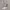 https://res.cloudinary.com/billionhands/image/upload/v1780833808/items/ckrx2kdyfxiyv6jgksm0.webp-0cover
