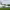 https://res.cloudinary.com/billionhands/image/upload/v1780834868/items/exoh58oaaftfd1pjumo4.webp-2cover