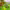 https://res.cloudinary.com/billionhands/image/upload/v1780836929/items/njmfbngtl6hezeq7omwe.webp-1cover