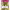 https://res.cloudinary.com/billionhands/image/upload/v1780836993/items/p34srn68rxzhln0sthcu.jpg-3cover