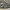 https://res.cloudinary.com/billionhands/image/upload/v1780837234/items/yvyulylkqbdbloxobwq3.png-3cover