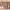 https://res.cloudinary.com/billionhands/image/upload/v1780837246/items/km2akfaz4sx0d1qlejzu.jpg-3cover