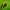 https://res.cloudinary.com/billionhands/image/upload/v1780837345/items/wooqdnygwo4lh6q1ktu5.jpg-2cover