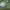 https://res.cloudinary.com/billionhands/image/upload/v1780837446/items/yzphszwqd78dvhig1doq.jpg-3cover