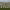 https://res.cloudinary.com/billionhands/image/upload/v1780838141/items/lzk70ewvd8jkvhvyt6xm.avif-0cover