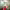 https://res.cloudinary.com/billionhands/image/upload/v1780838858/items/uvjrk3o32ss6s4im4krw.jpg-0cover